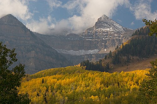 Bosque nacional de Uinta