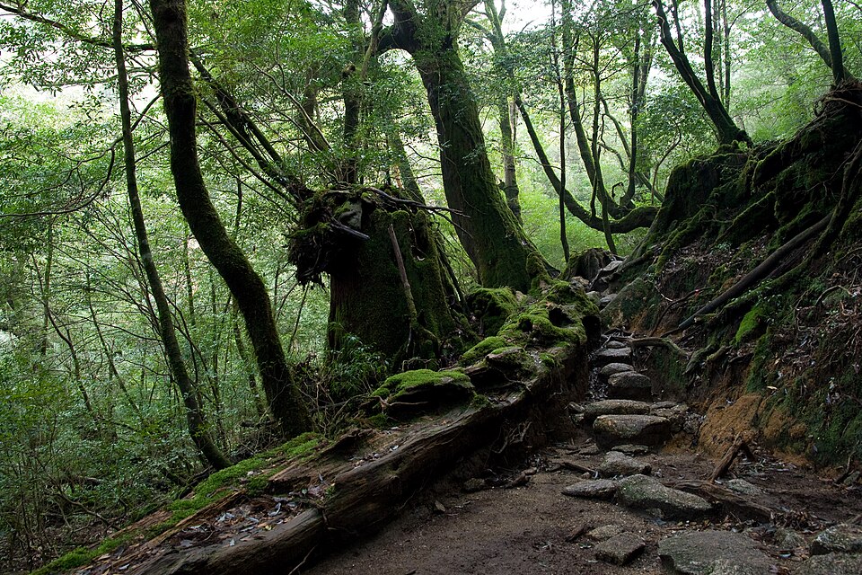 Shiratani Unsui Gorge