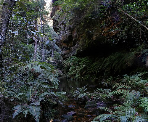 Blue Mountains National Park