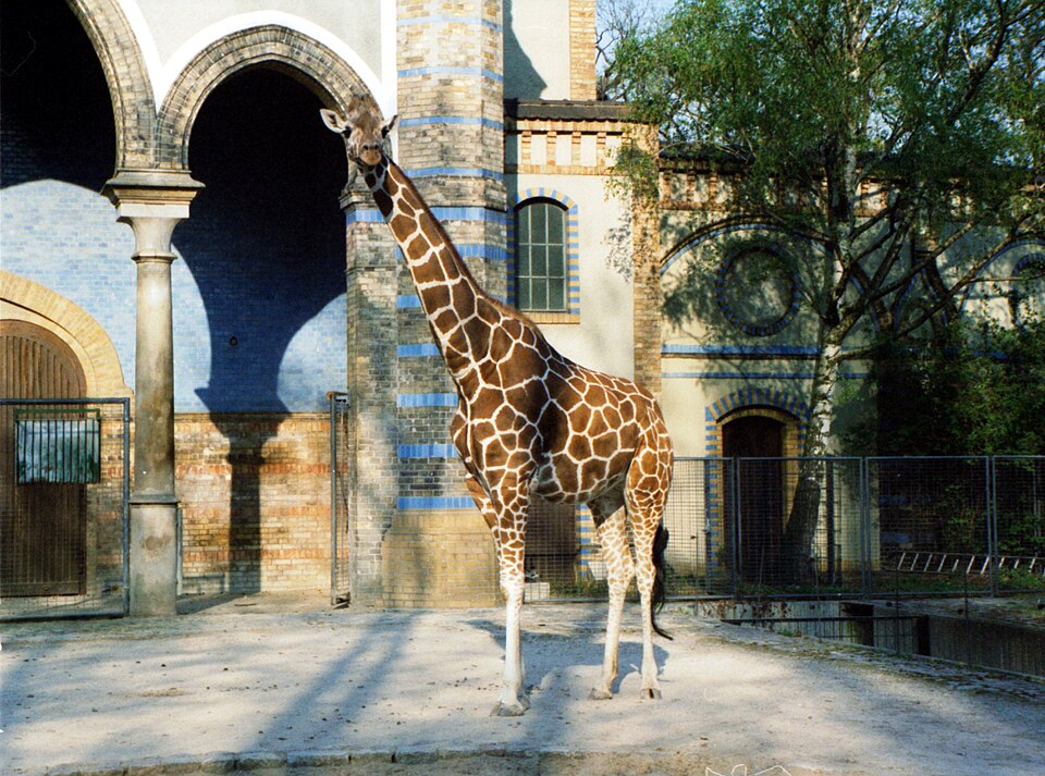 Berlin Zoological Garden