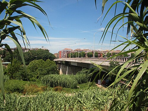 Guglielmo Marconi Bridge