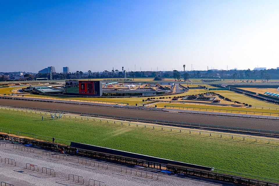 Nakayama Racecourse