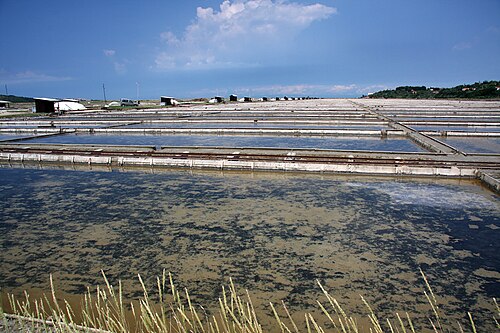 Sečovlje Saltworks