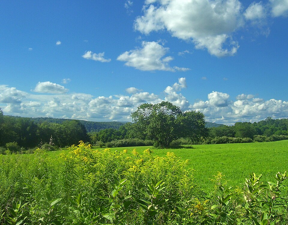 Pawling