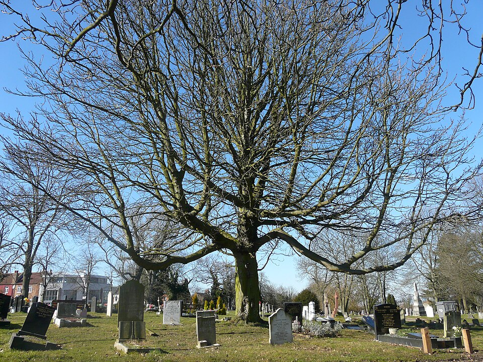 Camberwell Cemeteries