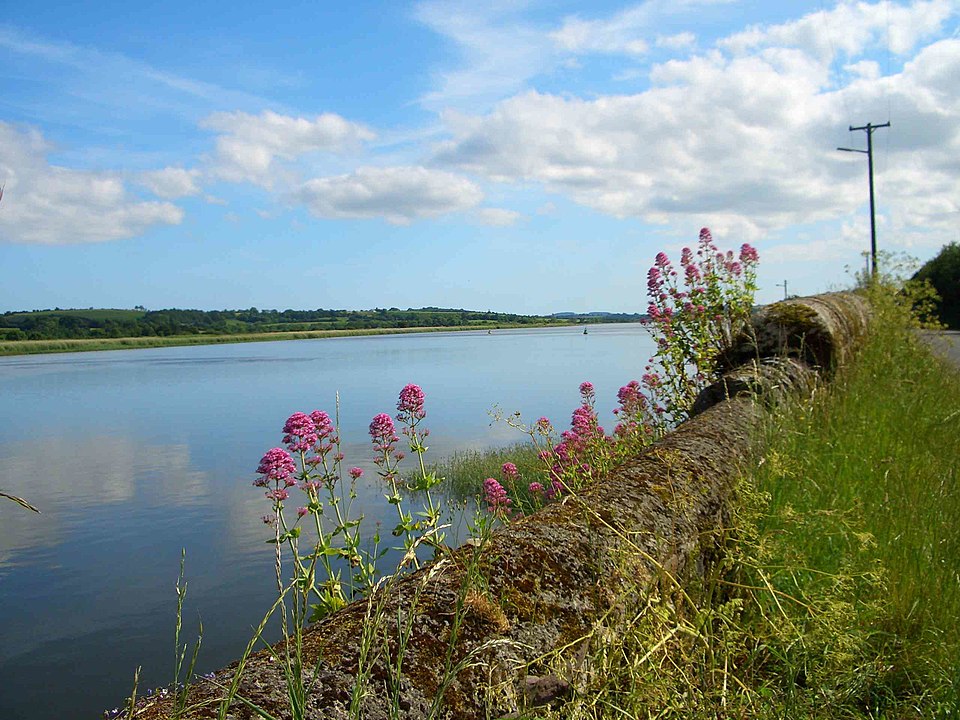 Suir