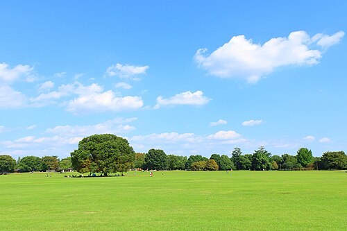Shōwa Memorial Park