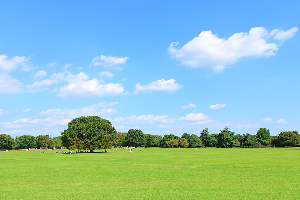 Shōwa Memorial Park