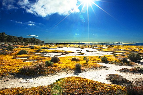 Antelope Valley