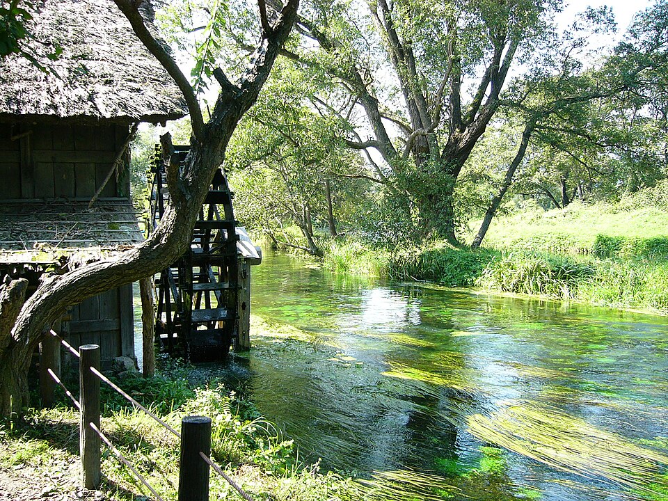 Daio Wasabi Farm