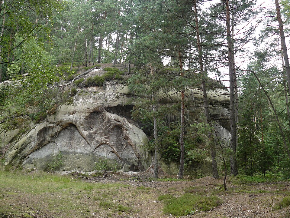 Apolena