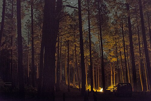 Fenton Lake State Park