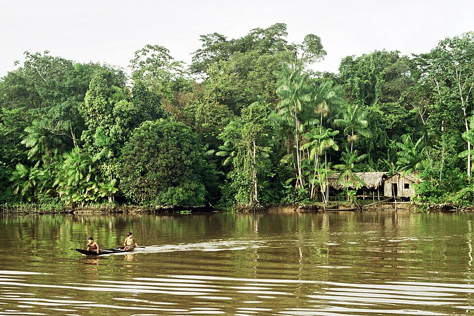 Amazon basin