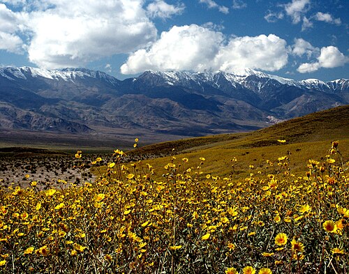 Inyo County