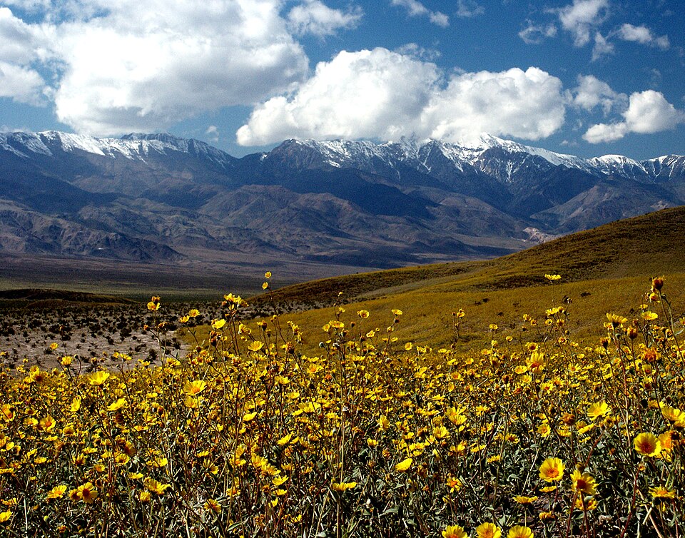 Inyo County