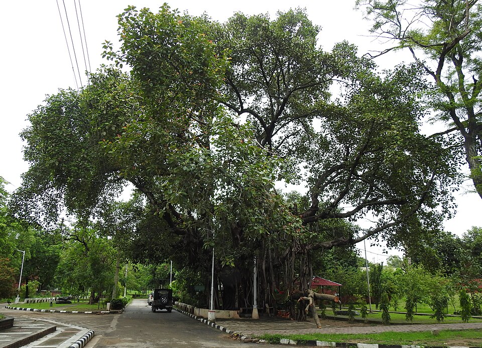 Punjab Engineering College