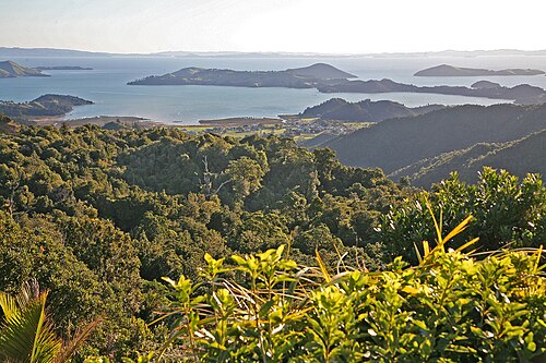 Coromandel
