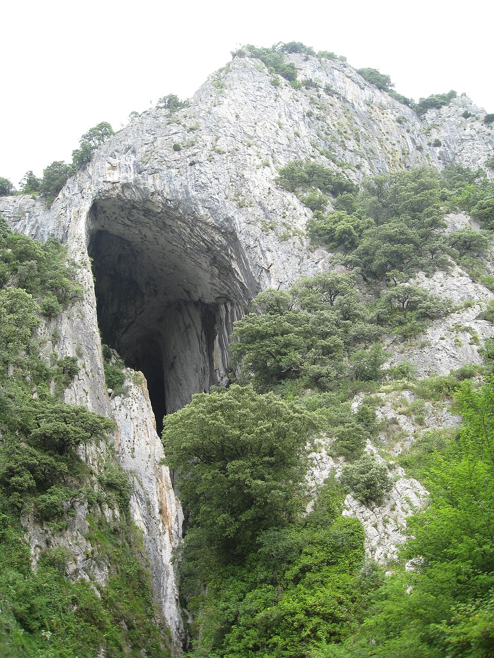 Lezea