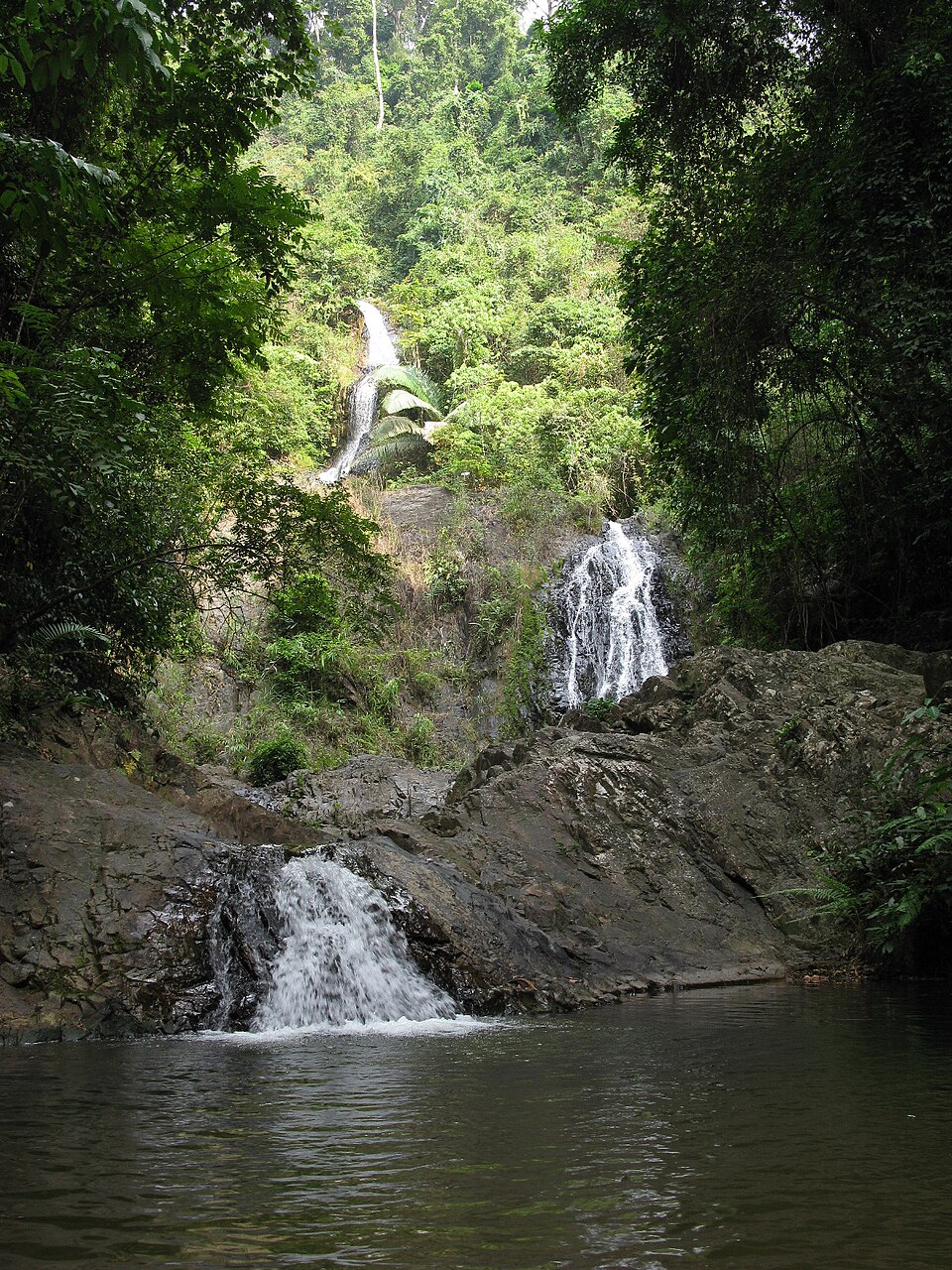 Khao Phanom Bencha National Park