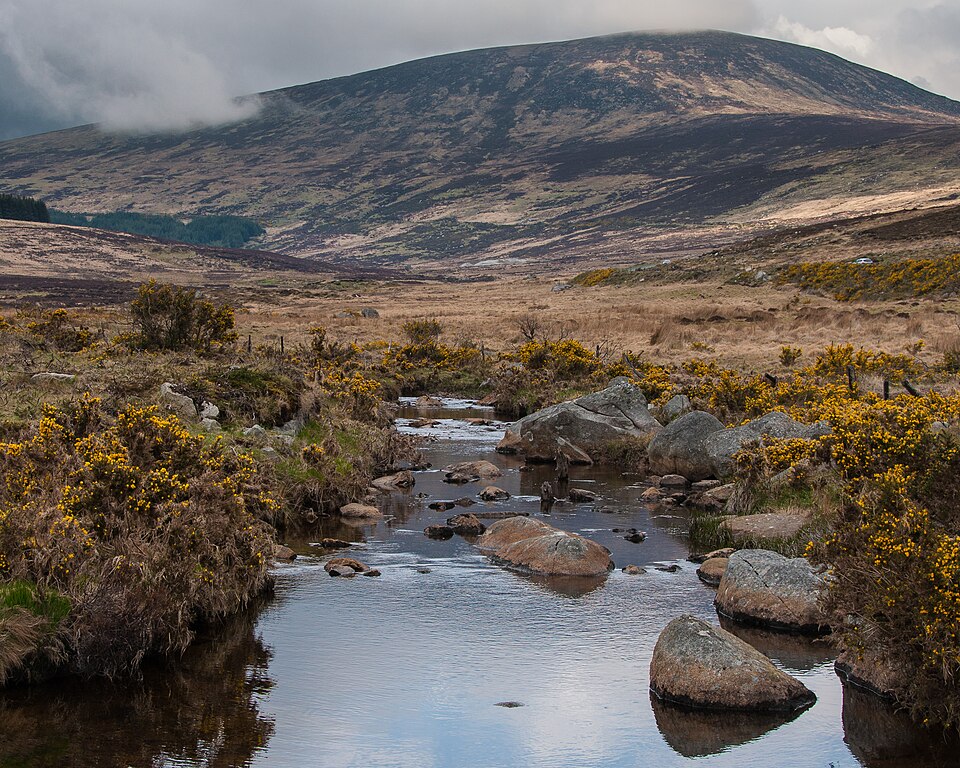 Wicklow Mountains
