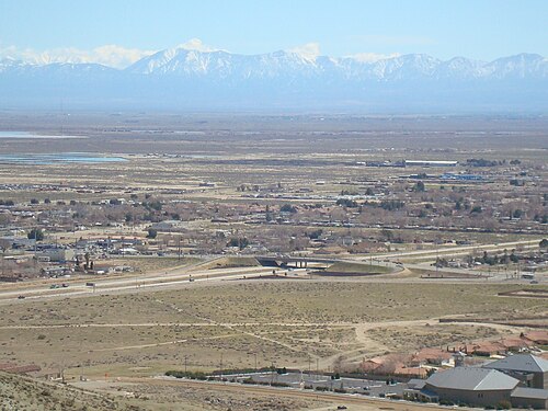 Rosamond