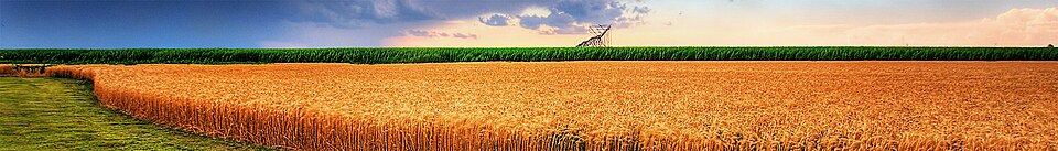 Kansas