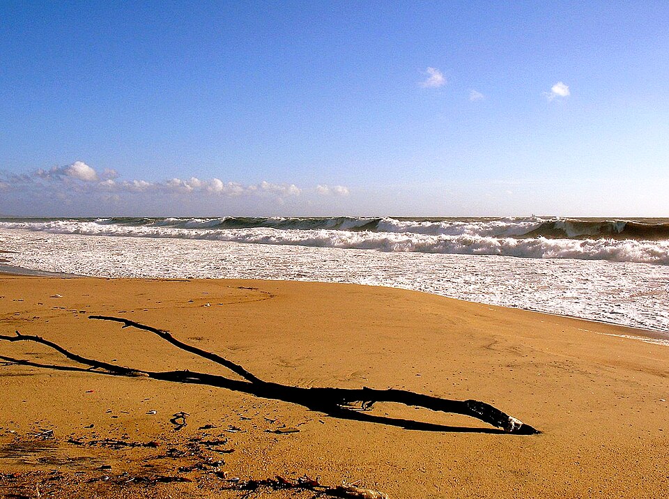Playa del Rey