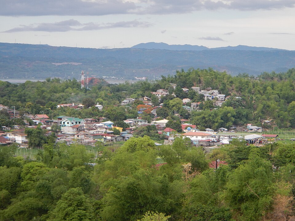 Cardona